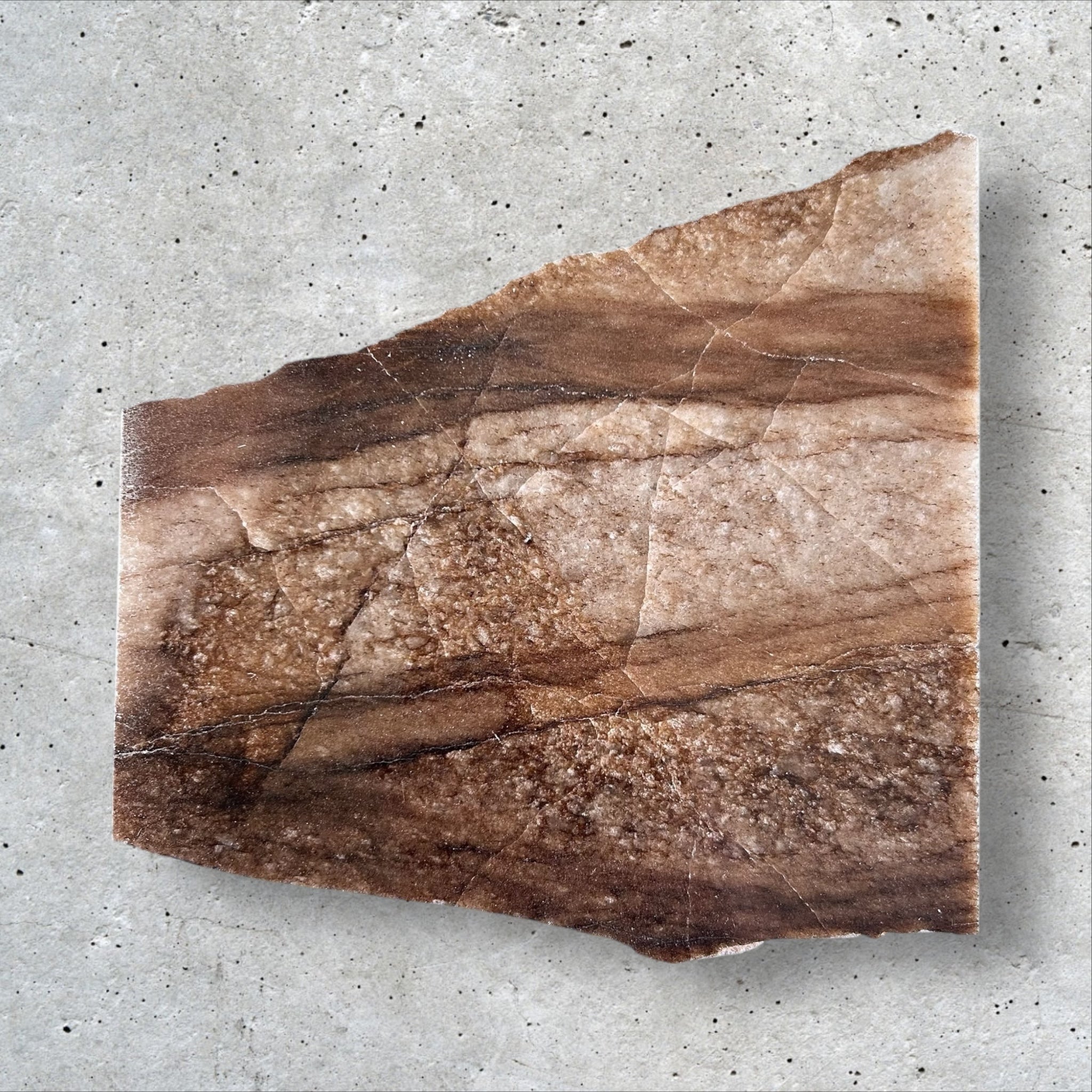 SOHO BROWN 01-002