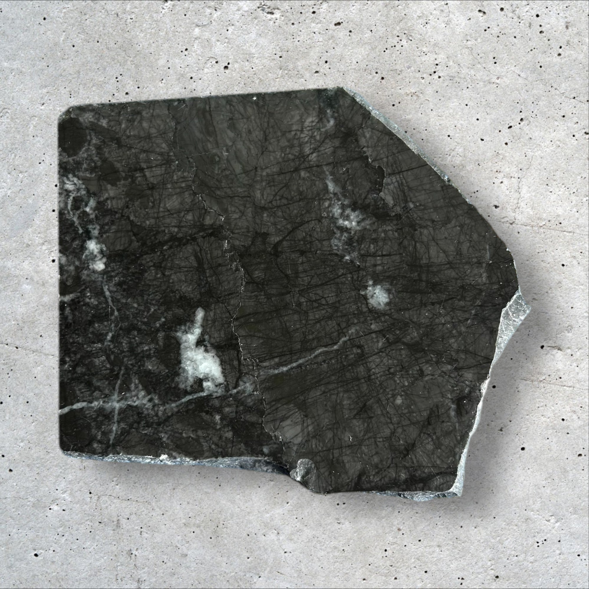 CARNICO GREY 02-006